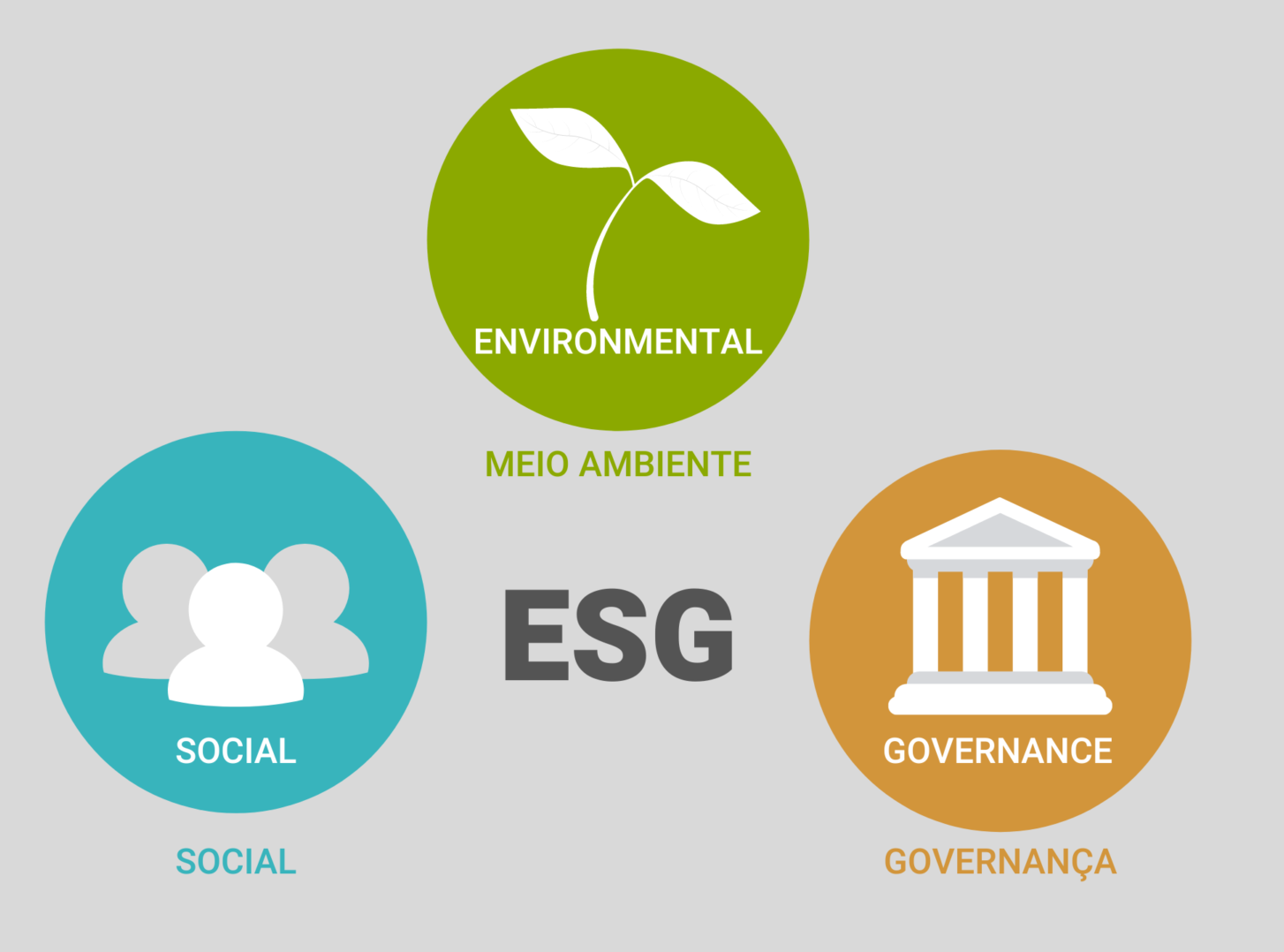 Entenda o que é ESG  XLV Serviços Empresariais